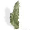 Moldavite de Besednice, très rare, pierre d'ouverture du cœur.