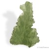 Moldavite de Besednice, specimen entier intact. Très rare.